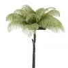 Papillon Living Ostrich Feather Table Lamp Sage Green Wall Lights, Table Lamps & Suspension Lights
