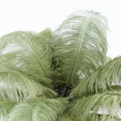 Papillon Living Ostrich Feather Table Lamp Sage Green Wall Lights, Table Lamps & Suspension Lights