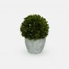 Papillon Living Large Preserved Topiary Ball With Pot 210138 Faux Flowers