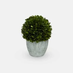 Papillon Living Large Preserved Topiary Ball With Pot 210138 Faux Flowers