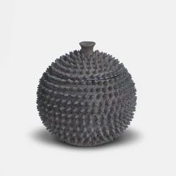 Papillon Living Acanthosphere Box Eclectic Mix