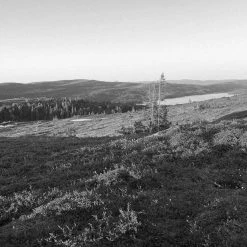 Papillon Living Perfumery Bjork & Berries Fjallsjo Eau De Parfum 50ml