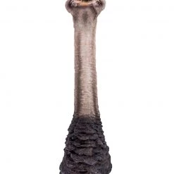 Papillon Living Ostrich Head Wall Figure