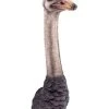 Papillon Living Ostrich Head Wall Figure