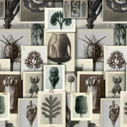 Papillon Living BLOSSFELDT'S ART FORMS Wallpaper