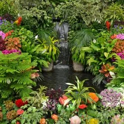 Papillon Living Annicke SIX Eau De Parfum 100ml Perfumery