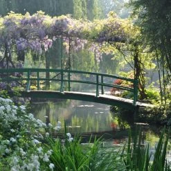 Papillon Living Annicke THREE Eau De Parfum 100ml