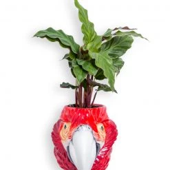 Papillon Living Red Macaw Wall Vase Sd27
