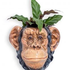 Papillon Living Ceramic Chimpanzee Wall Vase Vases & Pots
