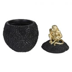 Papillon Living Monkey On Jackfruit Jar