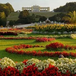 Papillon Living Perfumery Annicke ONE Eau De Parfum 100ml