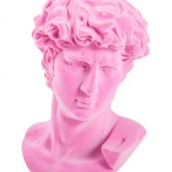 Papillon Living Sculpture Flock David Bust Pink TMF60