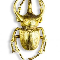 Papillon Living Gold Horned Beetle - Wall XL Wall Decoration
