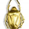 Papillon Living Large Gold Beetle Wall Decor