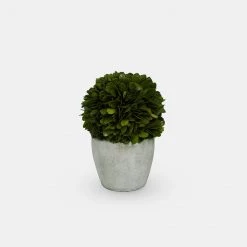 Papillon Living Faux Flowers Medium Preserved Topiary Ball With Pot 210137