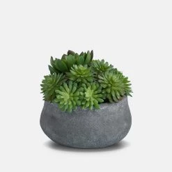 Papillon Living Mixed Echeveria Round Slate Grey Pot