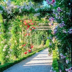 Papillon Living Annicke FOUR Eau De Parfum 100ml