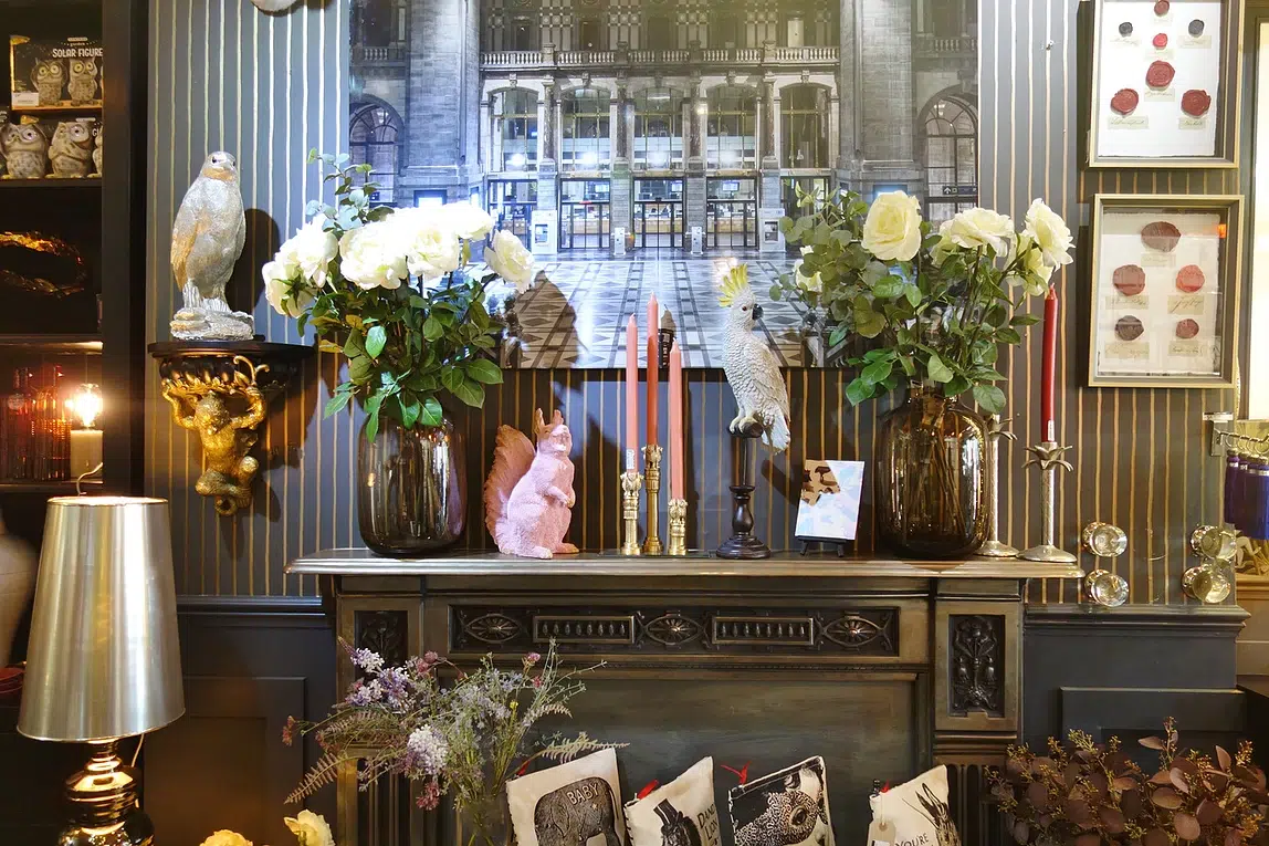 Cheap Papillon Living Store 2 Cheap Papillon Living Store -Cheap Papillon Living Store 454